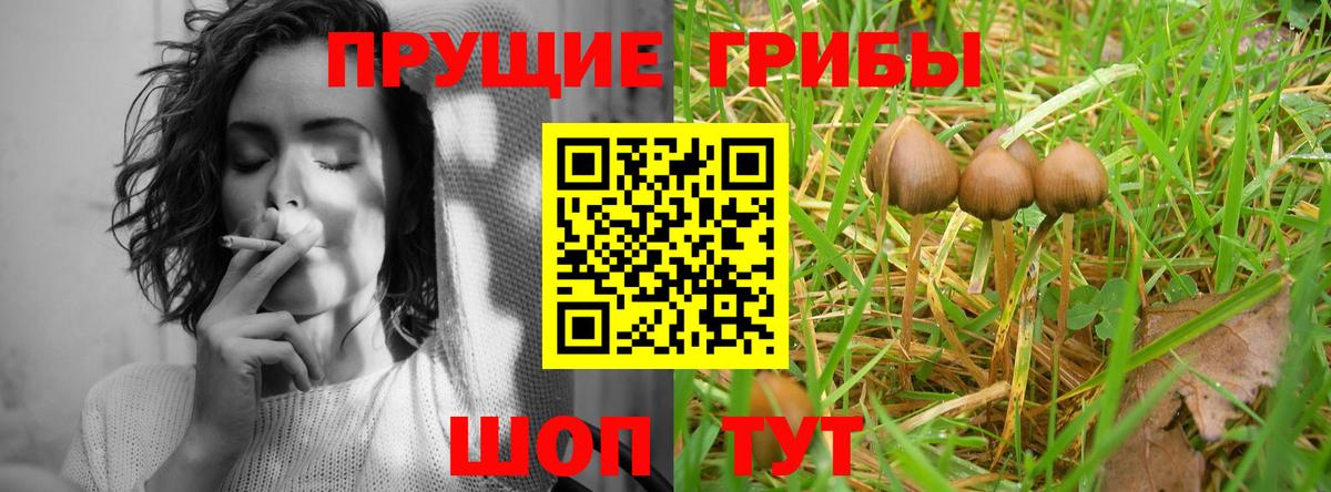 Златоуст  Галлюциногенные грибы Magic Shrooms  Вход с VPN 
